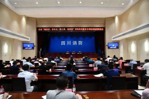 严查消防隐患，筑牢安全防线——四川消防技术服务机构专项检查取得阶段性成效